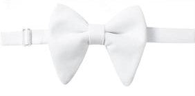 White Velvet Butterfly Bow Tie Box Set