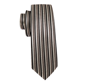 Titanium Striped Tie Set