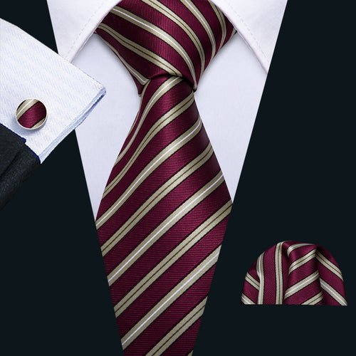 Deep Red Class Striped Tie Set