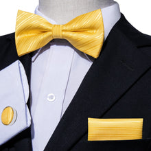 Load image into Gallery viewer, Bumblebee Striped Bow Tie Set